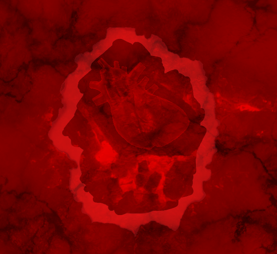 three directors sit in audience